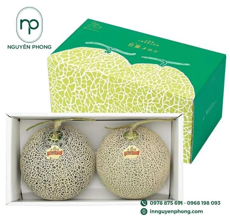 mau-hop-giay-dung-dua-luoi-doc-dao 